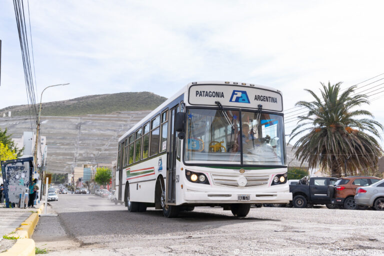 Transporte Público